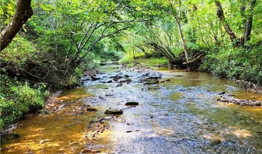 Photo #18 of Wright, Westfield, NC 136.4 acres