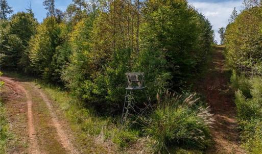Prime hunting land, secluded acreage with abundant wildlife including deer, turkey and black bear.
