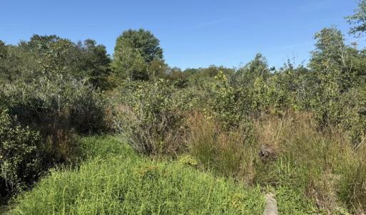 Photo #27 of 7809 Thomas, Stokesdale, NC 26.0 acres