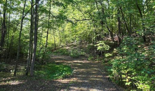 Photo #13 of 7809 Thomas, Stokesdale, NC 26.0 acres