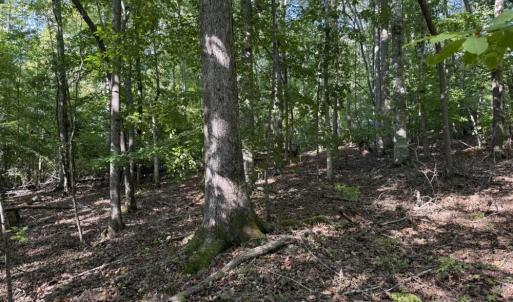 Photo #16 of 7809 Thomas, Stokesdale, NC 26.0 acres