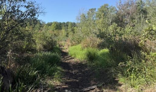 Photo #26 of 7809 Thomas, Stokesdale, NC 26.0 acres