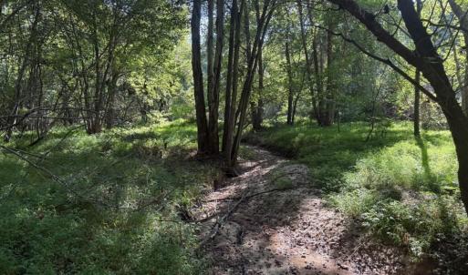 Photo #22 of 7809 Thomas, Stokesdale, NC 26.0 acres