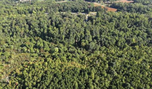 Photo #9 of 7809 Thomas, Stokesdale, NC 26.0 acres