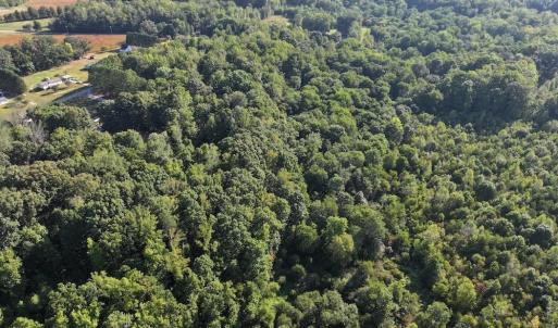 Photo #10 of 7809 Thomas, Stokesdale, NC 26.0 acres