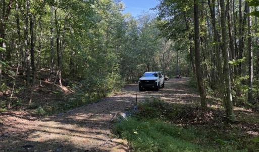 Photo #14 of 7809 Thomas, Stokesdale, NC 26.0 acres