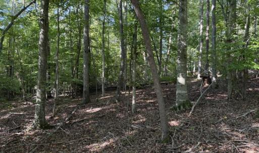 Photo #18 of 7809 Thomas, Stokesdale, NC 26.0 acres