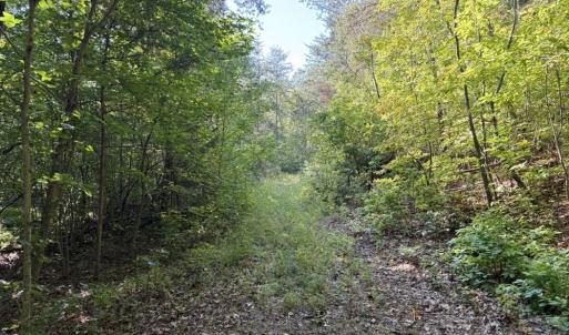 Photo #15 of 7809 Thomas, Stokesdale, NC 26.0 acres