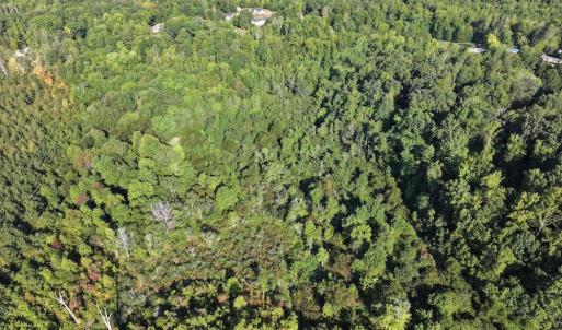 Photo #8 of 7809 Thomas, Stokesdale, NC 26.0 acres