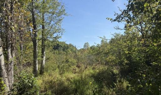 Photo #25 of 7809 Thomas, Stokesdale, NC 26.0 acres