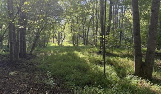 Photo #21 of 7809 Thomas, Stokesdale, NC 26.0 acres