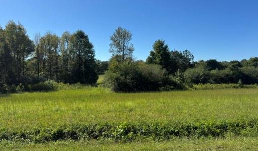 Photo #3 of 8511 Rocky River, Oakboro, NC 22.5 acres