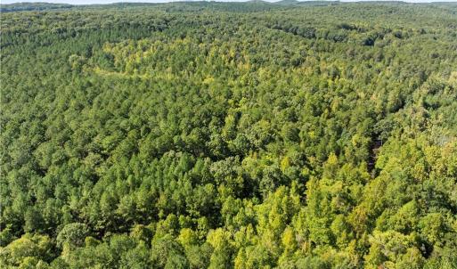 Photo #2 of New Hope, Denton, NC 77.0 acres