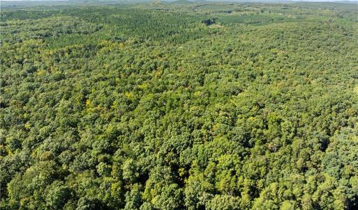 Photo #6 of New Hope, Denton, NC 77.0 acres