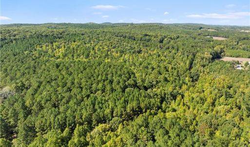 Photo #7 of New Hope, Denton, NC 77.0 acres
