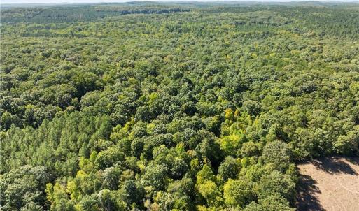 Photo #3 of New Hope, Denton, NC 77.0 acres