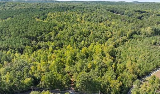 Photo #1 of New Hope, Denton, NC 77.0 acres