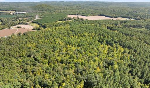 Photo #5 of New Hope, Denton, NC 77.0 acres
