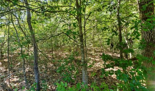 Photo #10 of New Hope, Denton, NC 77.0 acres