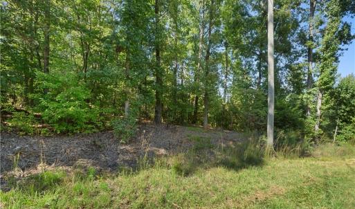 Photo #11 of New Hope, Denton, NC 77.0 acres