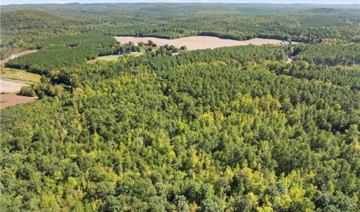Photo #4 of New Hope, Denton, NC 77.0 acres