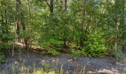 Photo #8 of New Hope, Denton, NC 77.0 acres