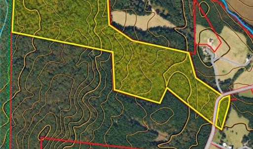 Photo #13 of New Hope, Denton, NC 77.0 acres