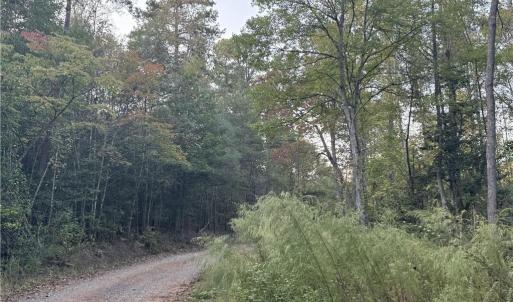 Photo #17 of New Hope, Denton, NC 77.0 acres