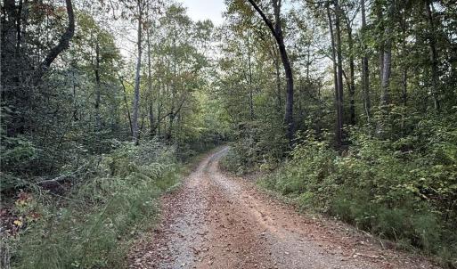 Photo #16 of New Hope, Denton, NC 77.0 acres
