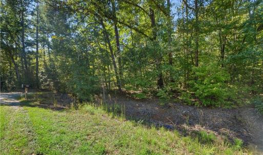 Photo #12 of New Hope, Denton, NC 77.0 acres