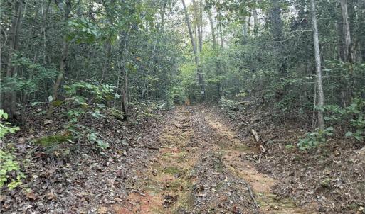 Photo #18 of New Hope, Denton, NC 77.0 acres