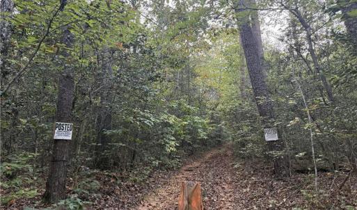 Photo #19 of New Hope, Denton, NC 77.0 acres
