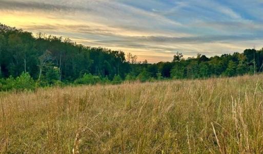 Photo #3 of 8919 TUCKERWOOD, Kernersville, NC 9.3 acres