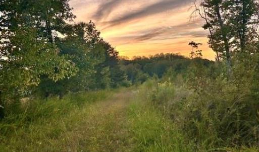 Photo #1 of 8919 TUCKERWOOD, Kernersville, NC 9.3 acres