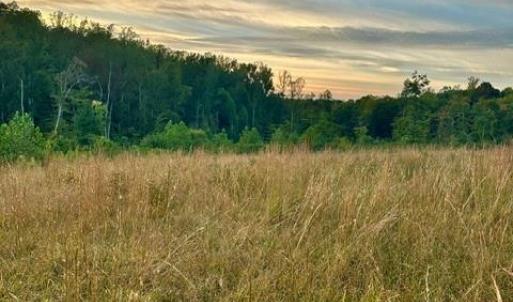 Photo #4 of 8919 TUCKERWOOD, Kernersville, NC 9.3 acres