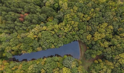 Photo #9 of McCoy, Reidsville, NC 11.5 acres