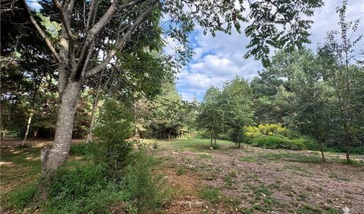 Mixture of cleared and wooded land maintains privacy with minimal clearing for building and easy access to walk the land.