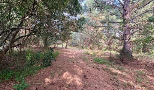 Mixture of cleared and wooded land maintains privacy with minimal clearing for building and easy access to walk the land.