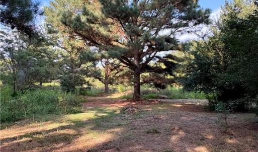 Mixture of cleared and wooded land maintains privacy with minimal clearing for building and easy access to walk the land.