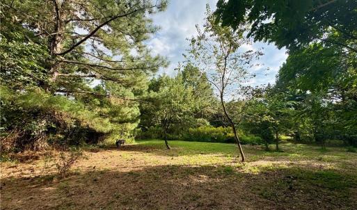 Mixture of cleared and wooded land maintains privacy with minimal clearing for building and easy access to walk the land.