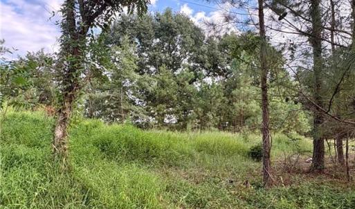 Mixture of cleared and wooded land maintains privacy with minimal clearing for building and easy access to walk the land. This picture shows de-energized powerlines that run along property boundary.