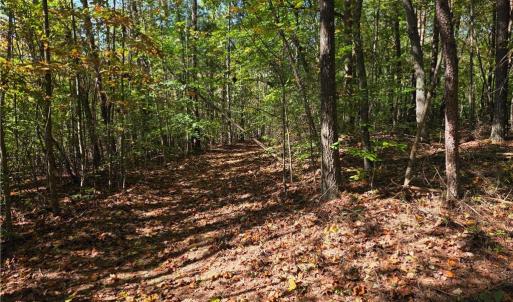 Photo #6 of 1198 Jackson, Westfield, NC 10.0 acres