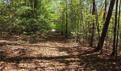 Photo #7 of 1198 Jackson, Westfield, NC 10.0 acres