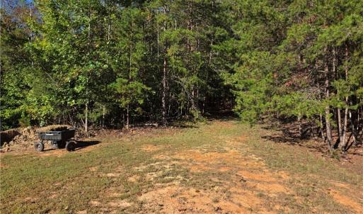 Photo #4 of 1198 Jackson, Westfield, NC 10.0 acres