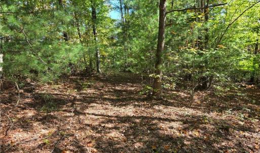 Photo #8 of 1198 Jackson, Westfield, NC 10.0 acres
