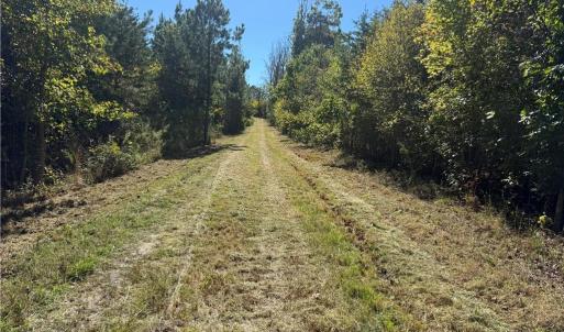 Photo #5 of 1034 Paschal, Yanceyville, NC 12.4 acres