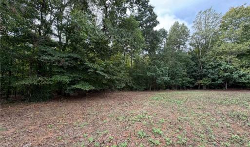 Photo #23 of 6700 Lot 25+/- Acres Doral, Tobaccoville, NC 25.0 acres
