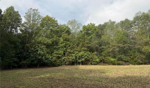 Photo #27 of 6700 Lot 25+/- Acres Doral, Tobaccoville, NC 25.0 acres