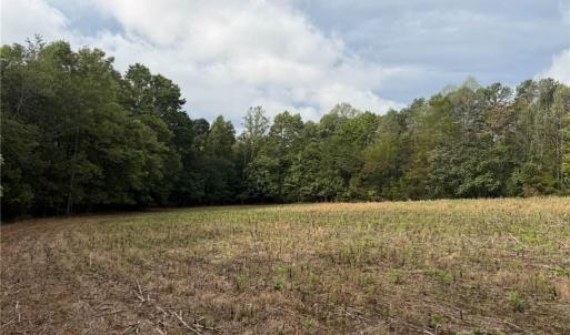 Photo #6 of 6700 Lot 25+/- Acres Doral, Tobaccoville, NC 25.0 acres