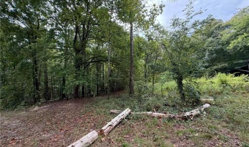 Photo #16 of 6700 Lot 25+/- Acres Doral, Tobaccoville, NC 25.0 acres